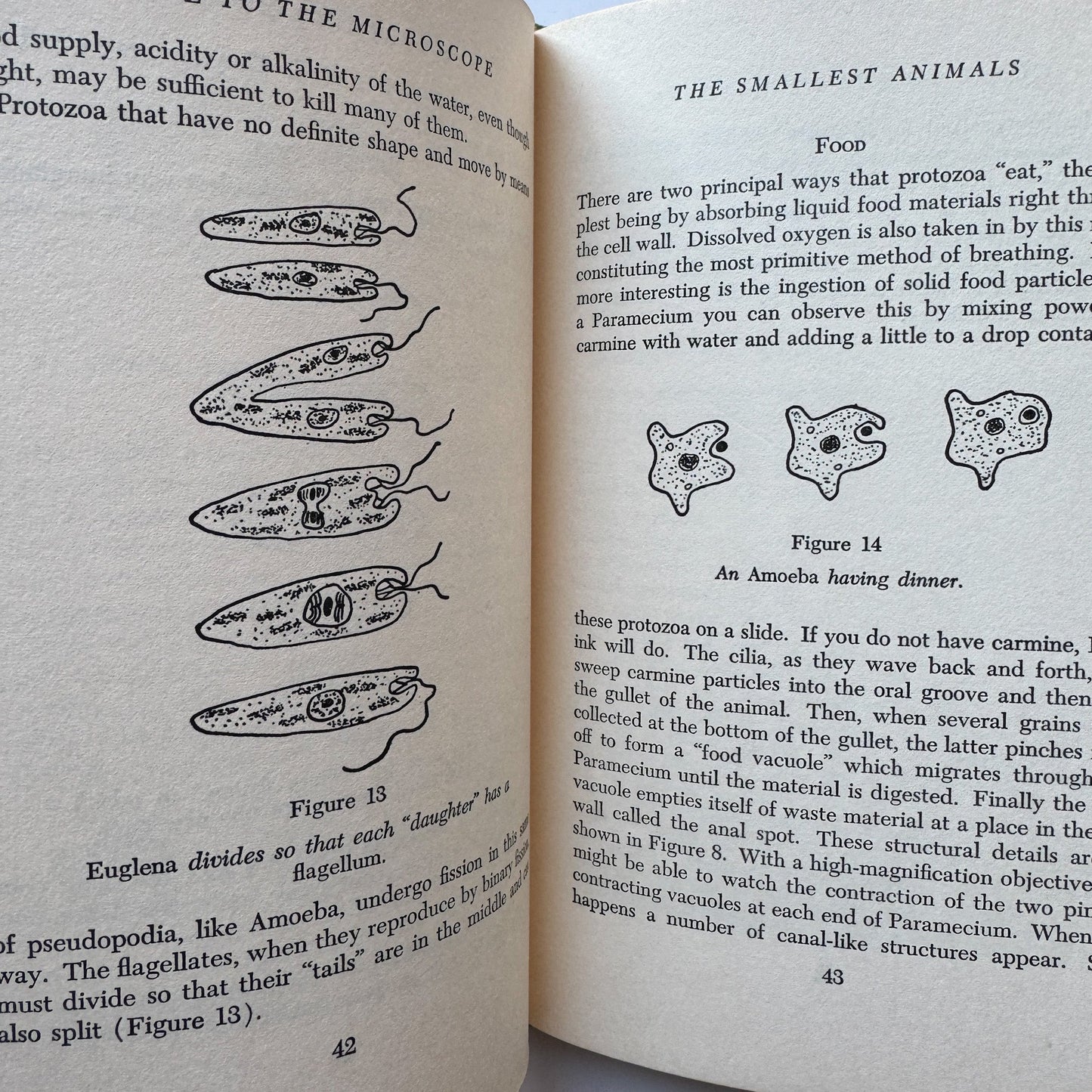 Guide to the Microscope, Arthur Beiser, 1966, Illustrated - Pretty Old Books