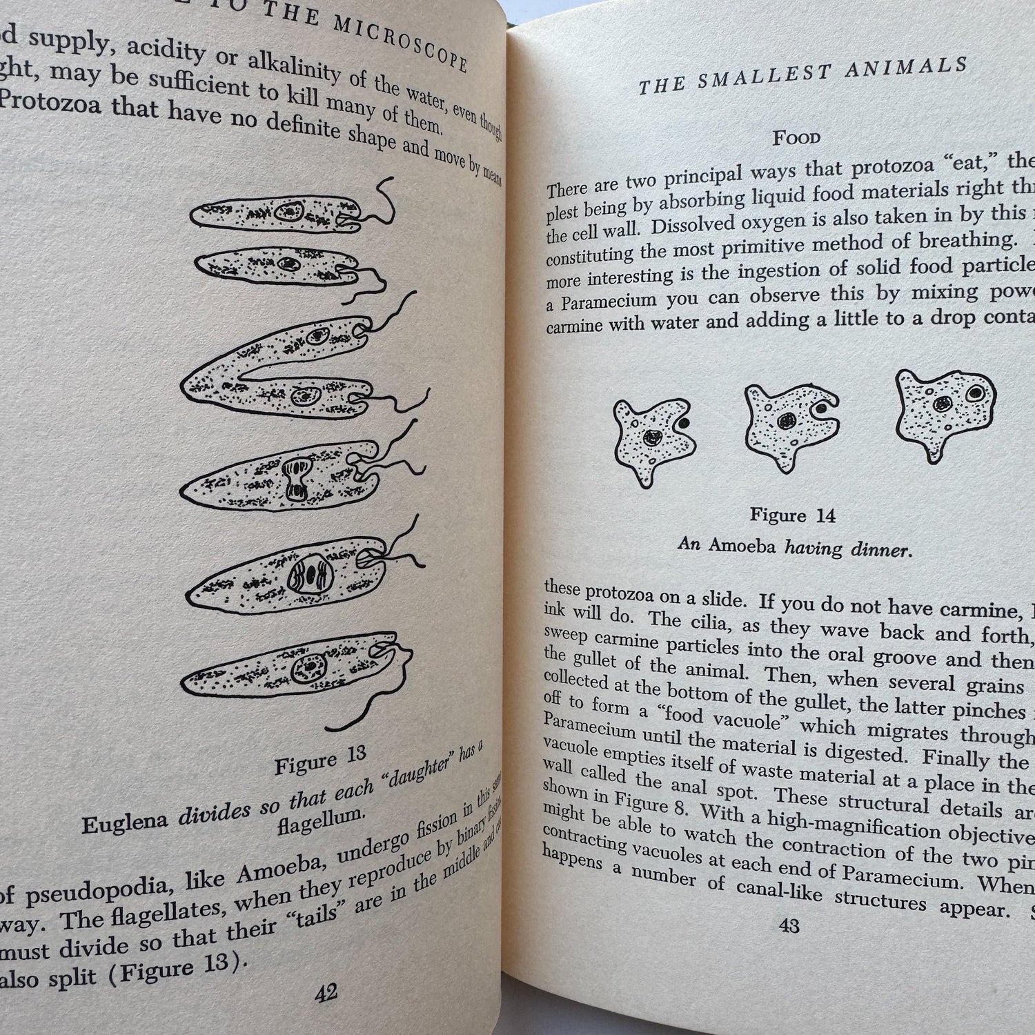 Guide to the Microscope, Arthur Beiser, 1966, Illustrated - Pretty Old Books
