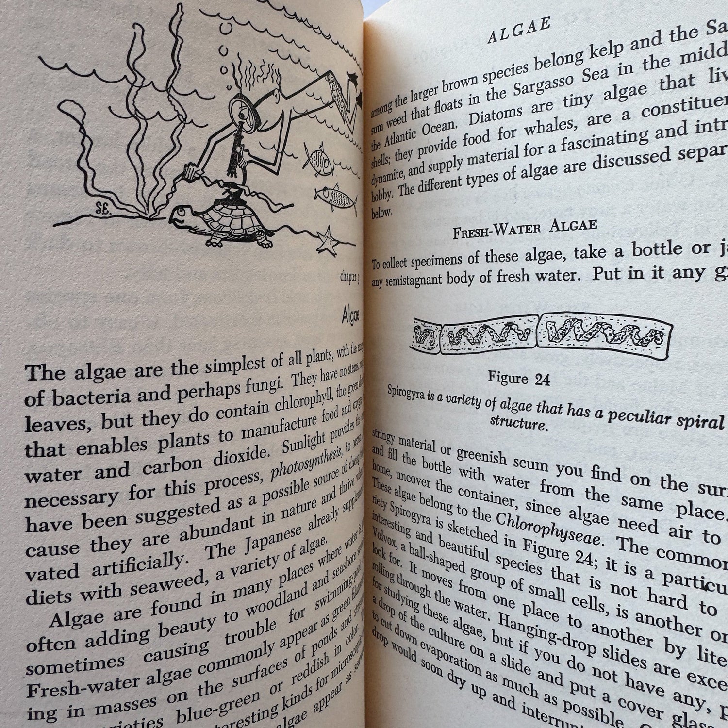 Guide to the Microscope, Arthur Beiser, 1966, Illustrated - Pretty Old Books