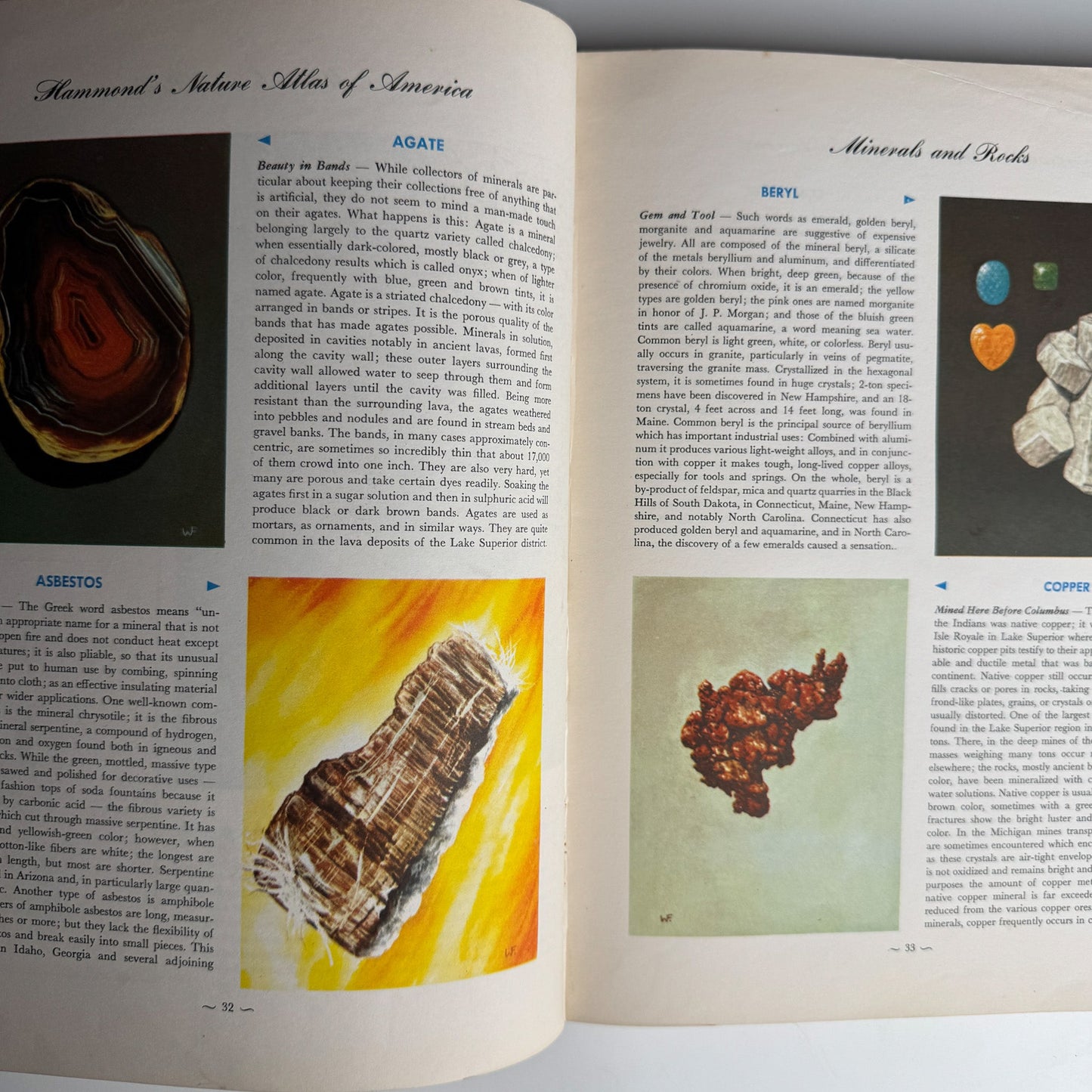 Hammond's Nature Atlas of America, Wildlife Species, 1952, Watercolor Nature Art - Pretty Old Books