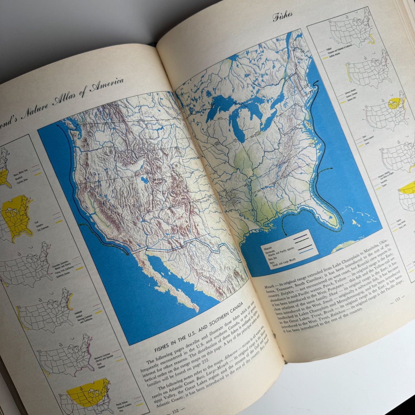 Hammond's Nature Atlas of America, Wildlife Species, 1952, Watercolor Nature Art - Pretty Old Books