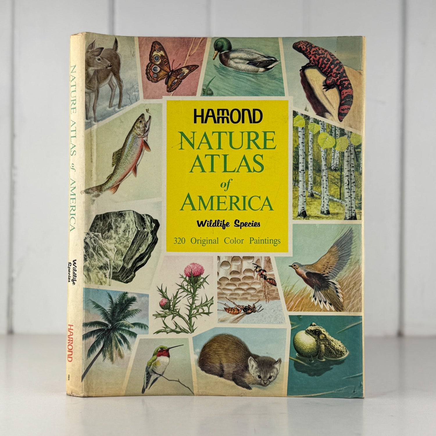 Vintage Science and Math Books