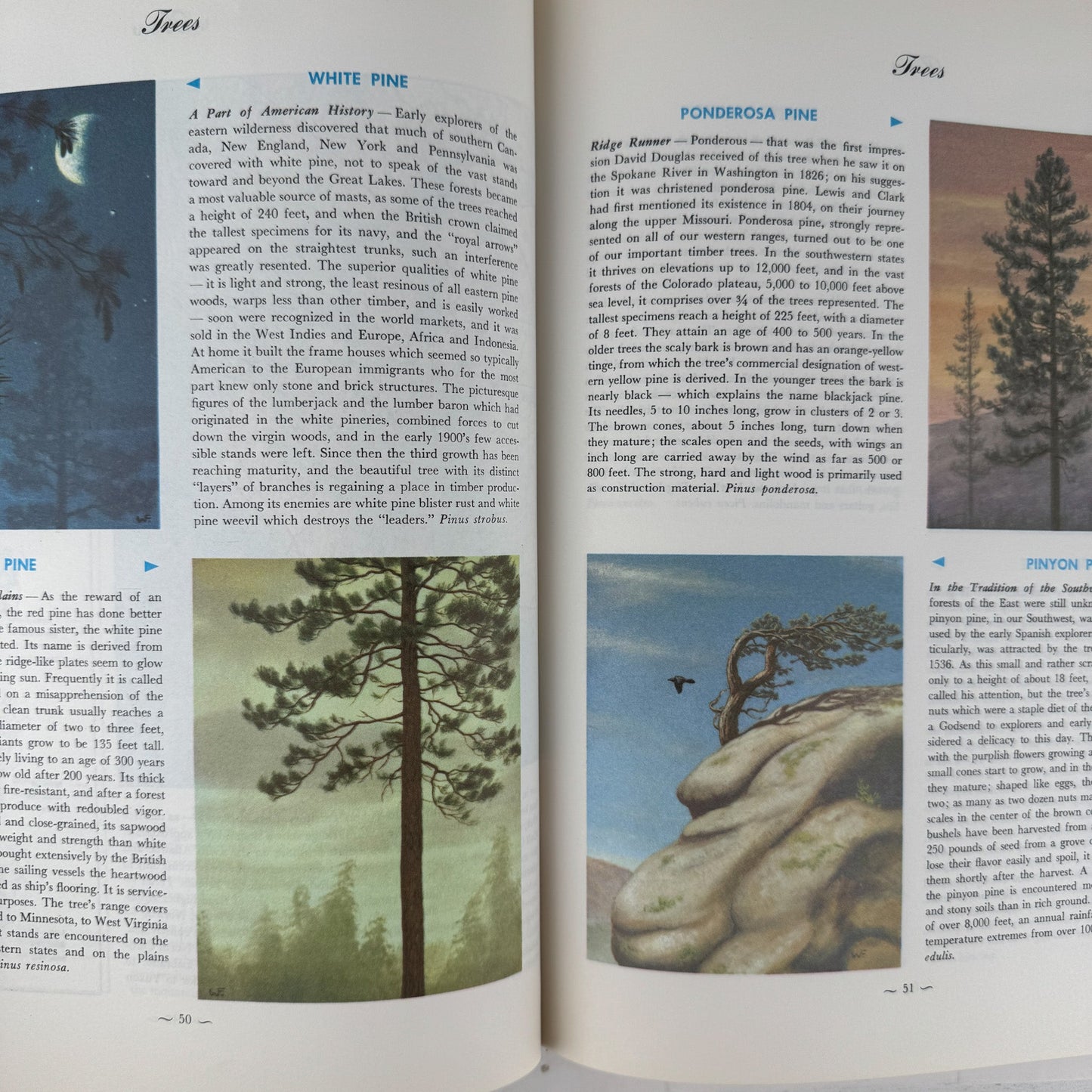 Hammond's Nature Atlas of America, Wildlife Species, 1971, Watercolor Nature Art - Pretty Old Books