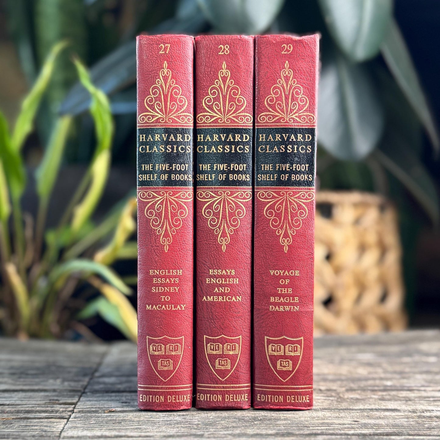 Harvard Classics Five-Foot Shelf, Volumes 27-29, Red Ornate Edition Deluxe, 1959 - Pretty Old Books