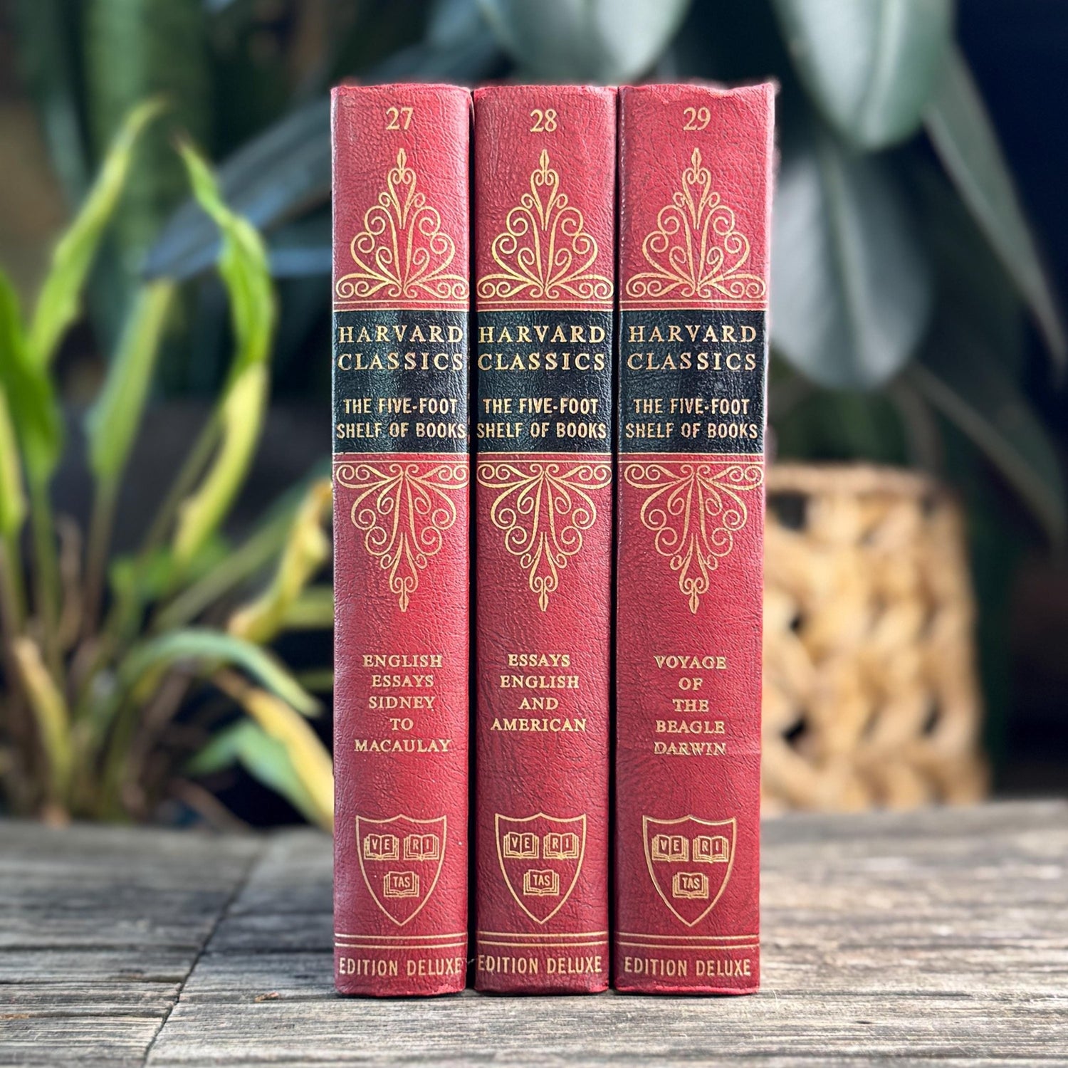 Harvard Classics Five-Foot Shelf, Volumes 27-29, Red Ornate Edition Deluxe, 1959 - Pretty Old Books