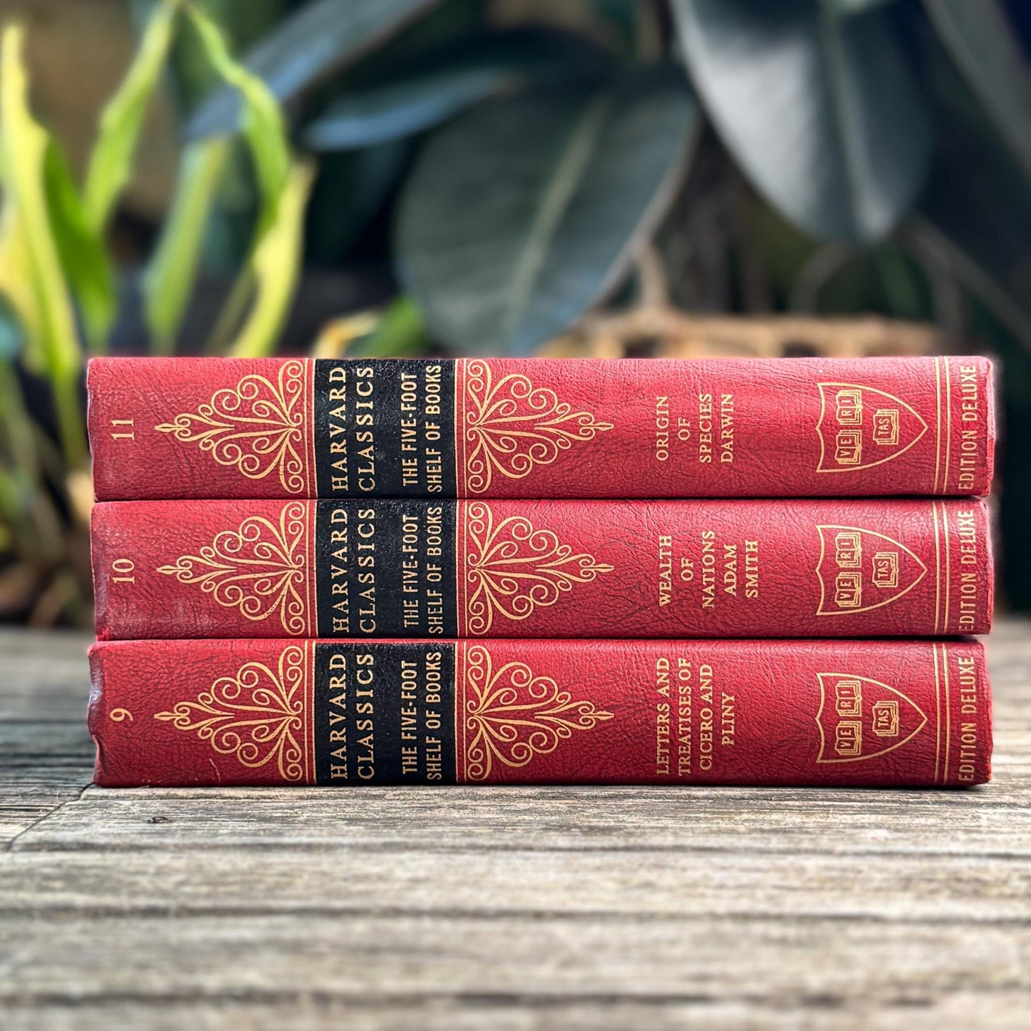 Harvard Classics Five-Foot Shelf, Volumes 9-11, Red Ornate Edition Deluxe, 1959 - Pretty Old Books