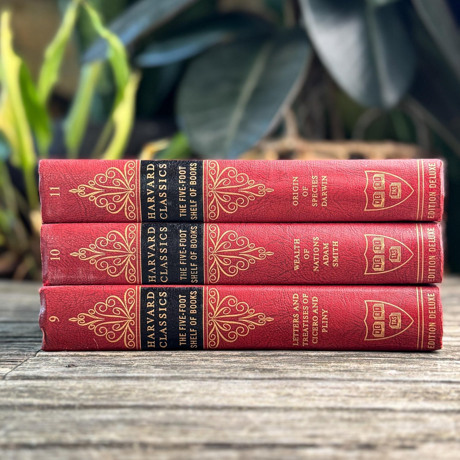 Harvard Classics Five-Foot Shelf, Volumes 9-11, Red Ornate Edition Deluxe, 1959 - Pretty Old Books