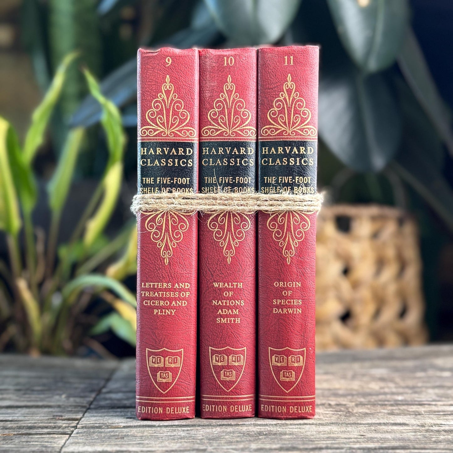 Harvard Classics Five-Foot Shelf, Volumes 9-11, Red Ornate Edition Deluxe, 1959 - Pretty Old Books