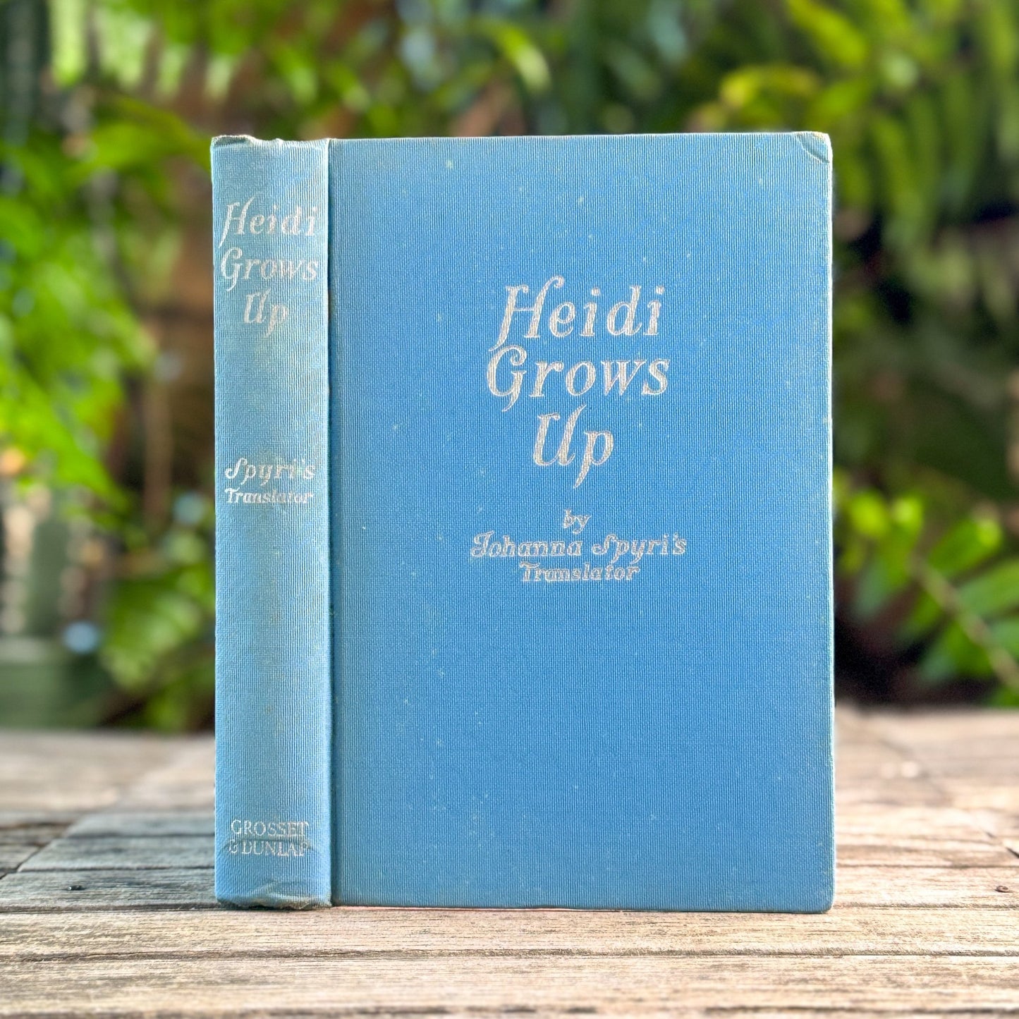 Heidi Grows Up, Charles Tritten, Illustrated by Jean Coquillot, 1938 - Pretty Old Books