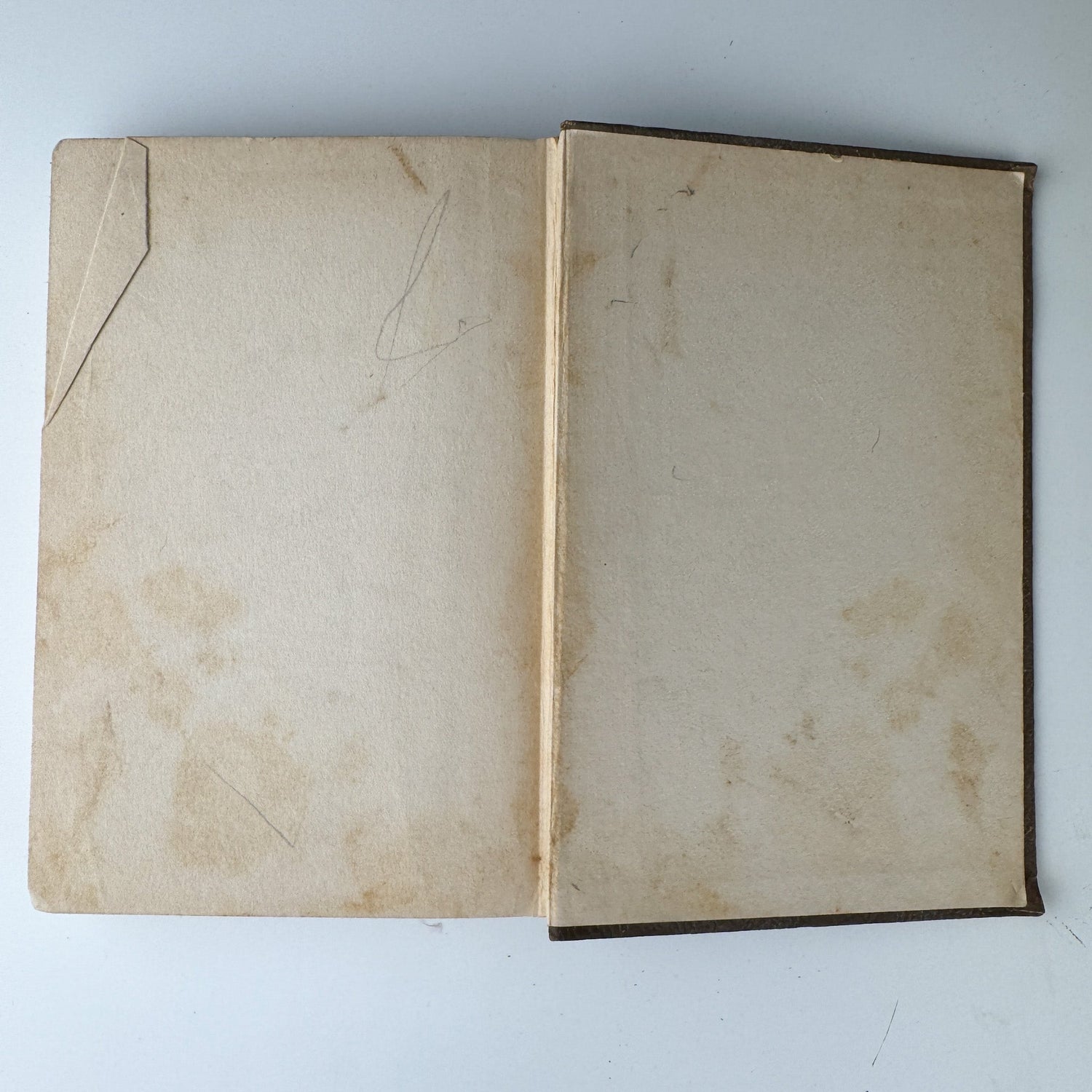 Her Little Way: Saint Thérèse of the Child Jesus - Pretty Old Books