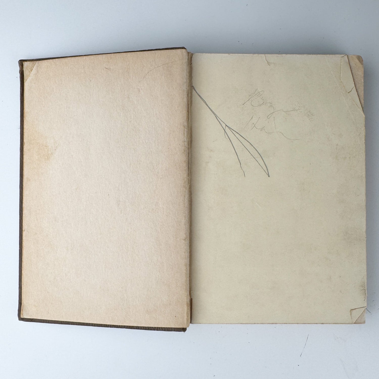 Her Little Way: Saint Thérèse of the Child Jesus - Pretty Old Books