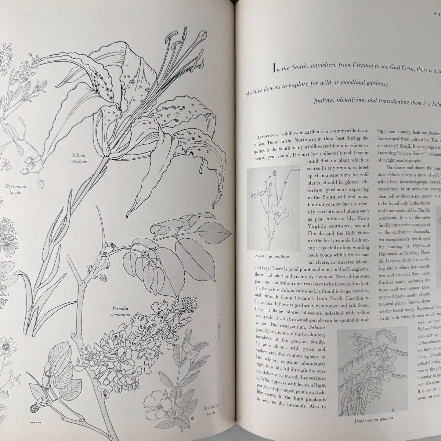 House and Garden's New Complete Book of Gardens, Interior Design, Vintage 1953 1955 - Pretty Old Books