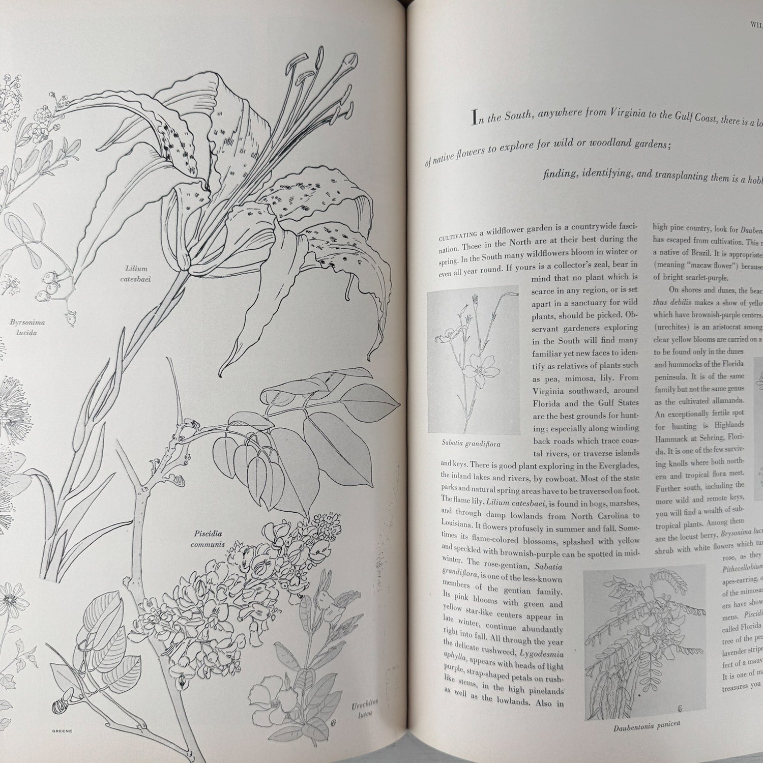 House and Garden's New Complete Book of Gardens, Interior Design, Vintage 1953 1955 - Pretty Old Books