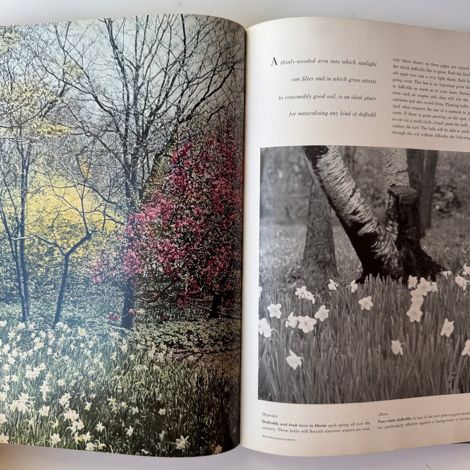 House and Garden's New Complete Book of Gardens, Interior Design, Vintage 1953 1955 - Pretty Old Books