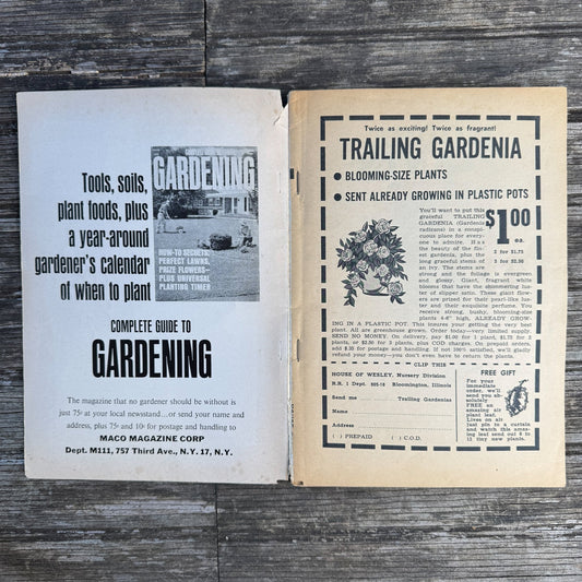 House Plants, Andree Vilas Grabe, 1963, Maco Magazine, Paperback - Pretty Old Books