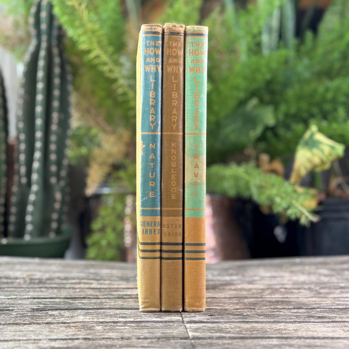 How and Why Library, Vintage Children's Encyclopedia, 1947, Traditional Values and Classical Study - Pretty Old Books