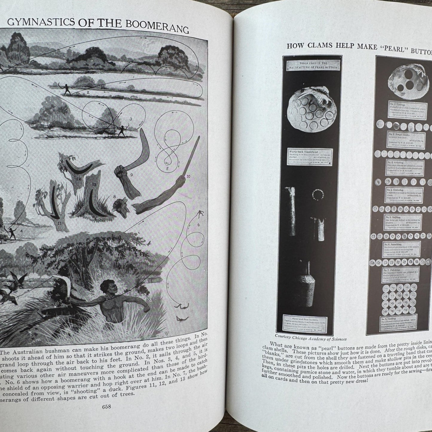 How and Why Library, Vintage Children's Encyclopedia, 1947, Traditional Values and Classical Study - Pretty Old Books