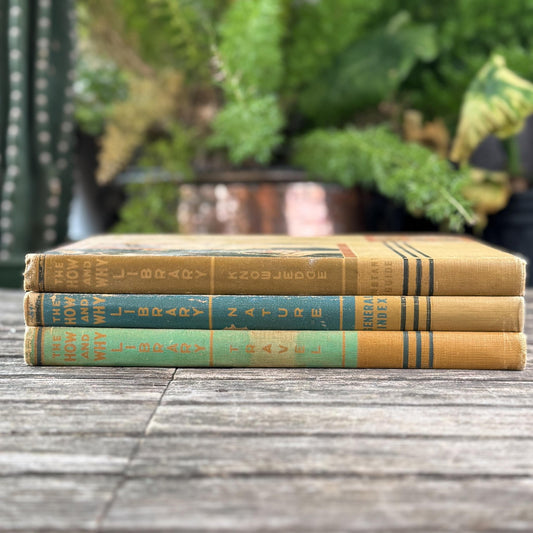 How and Why Library, Vintage Children's Encyclopedia, 1947, Traditional Values and Classical Study - Pretty Old Books