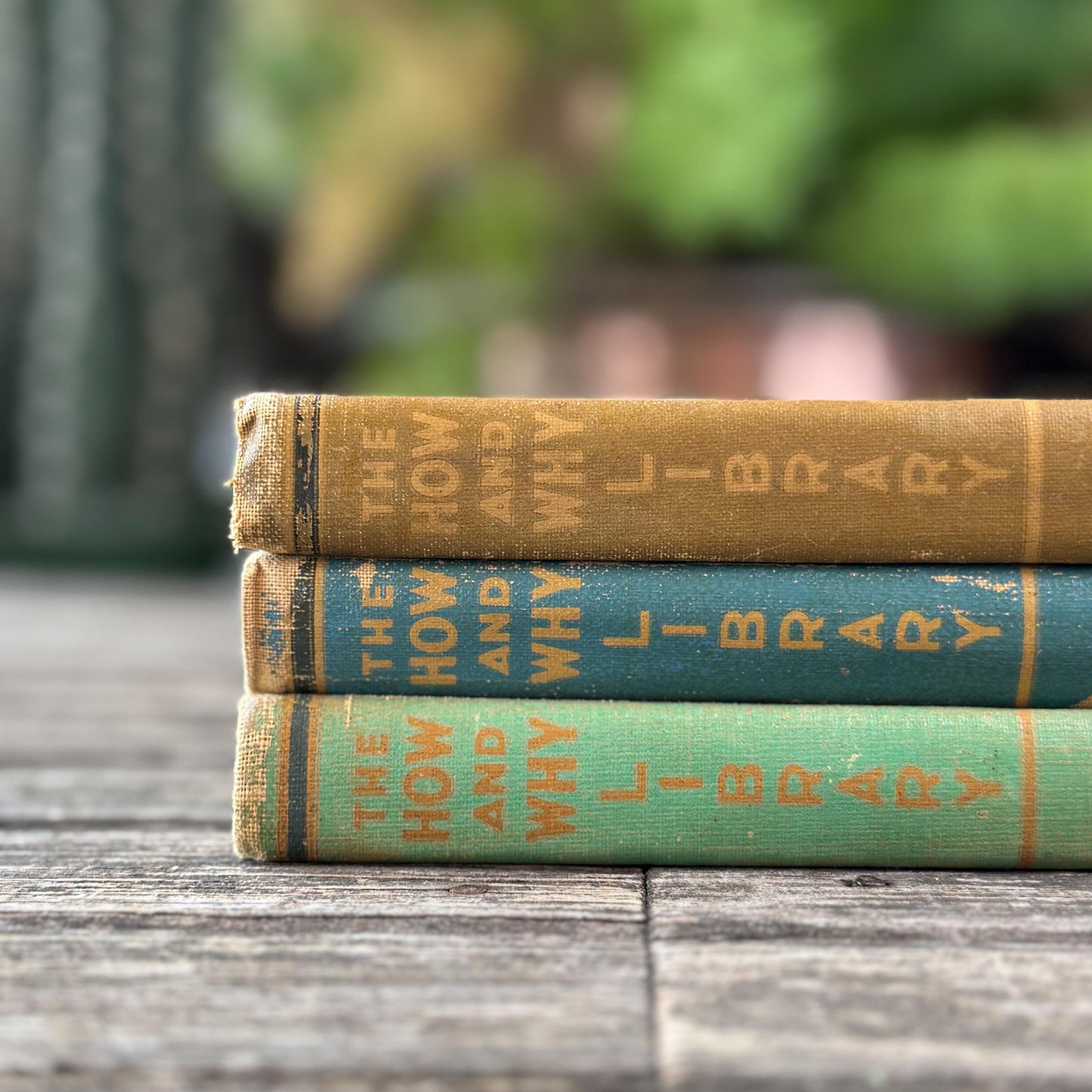 How and Why Library, Vintage Children's Encyclopedia, 1947, Traditional Values and Classical Study - Pretty Old Books