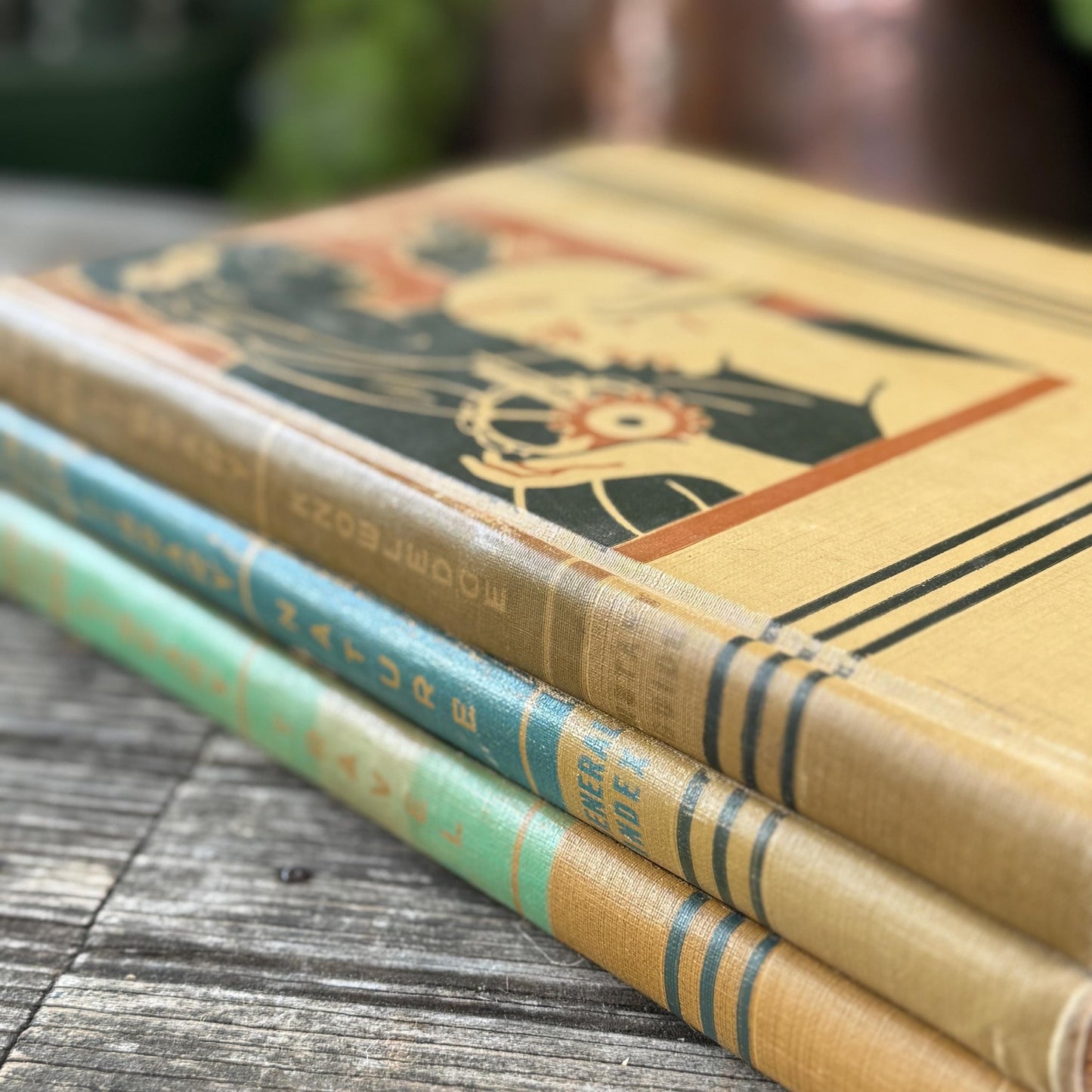 How and Why Library, Vintage Children's Encyclopedia, 1947, Traditional Values and Classical Study - Pretty Old Books