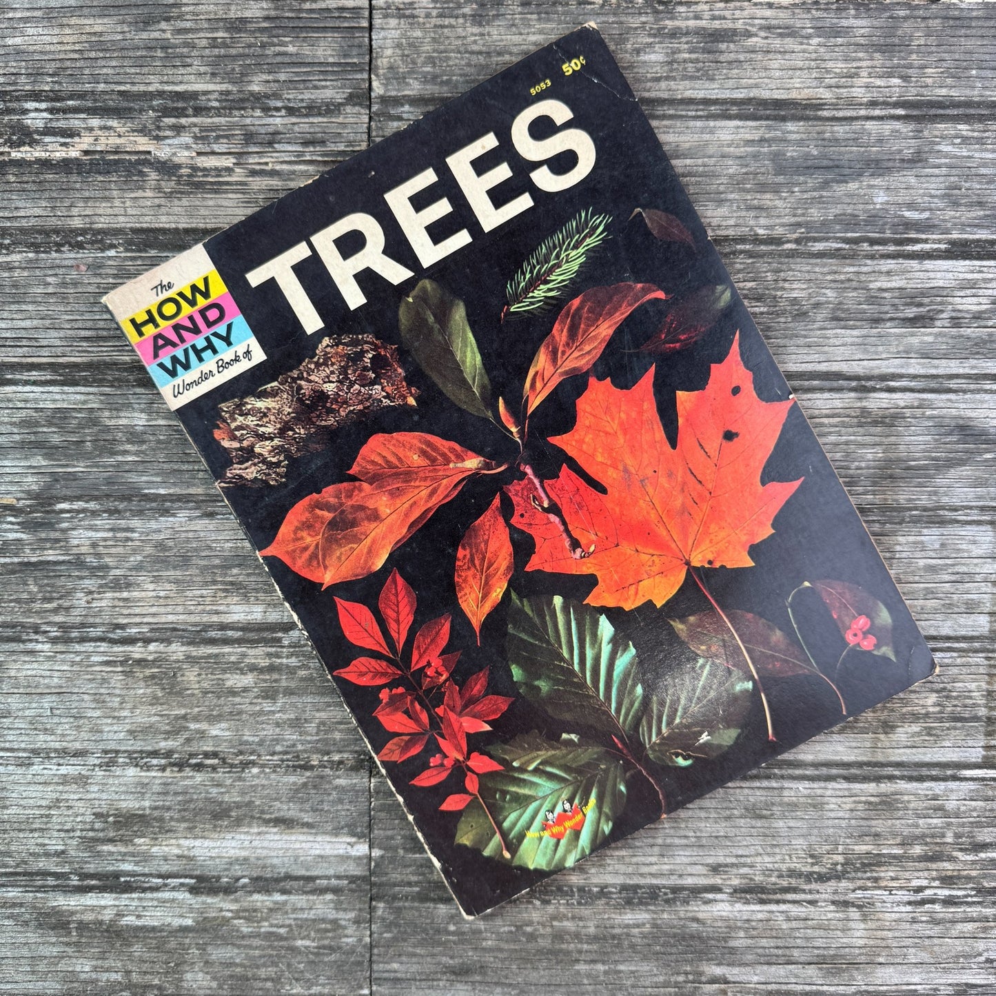 How and Why Wonder Book of Trees, Paperback, 1964 - Pretty Old Books