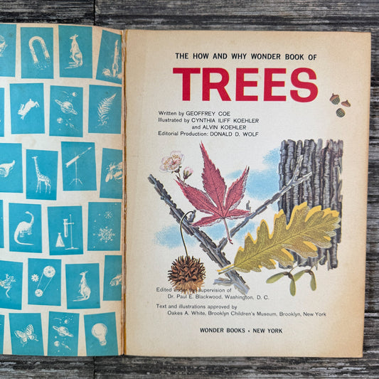 How and Why Wonder Book of Trees, Paperback, 1964 - Pretty Old Books