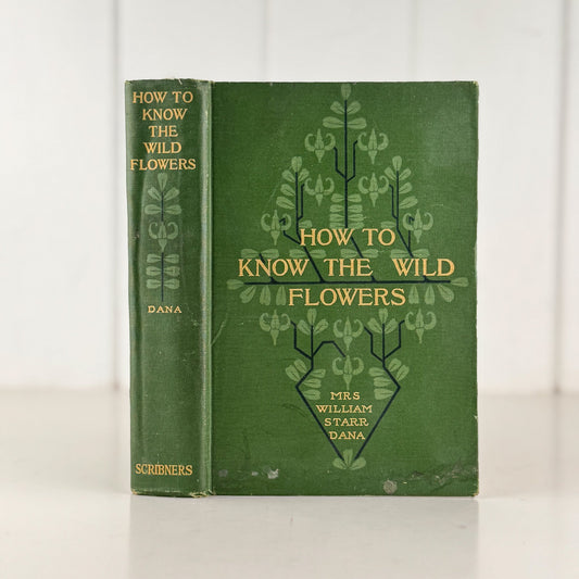 How To Know The Wild Flowers, Mrs. William Starr Dana, 1910, Illustrated - Pretty Old Books