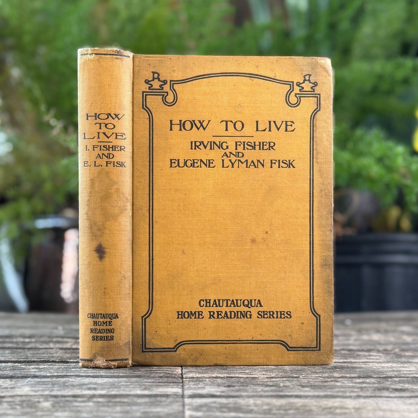 How to Live: Rules for Healthful Living Based on Modern Science, 1917 - Pretty Old Books