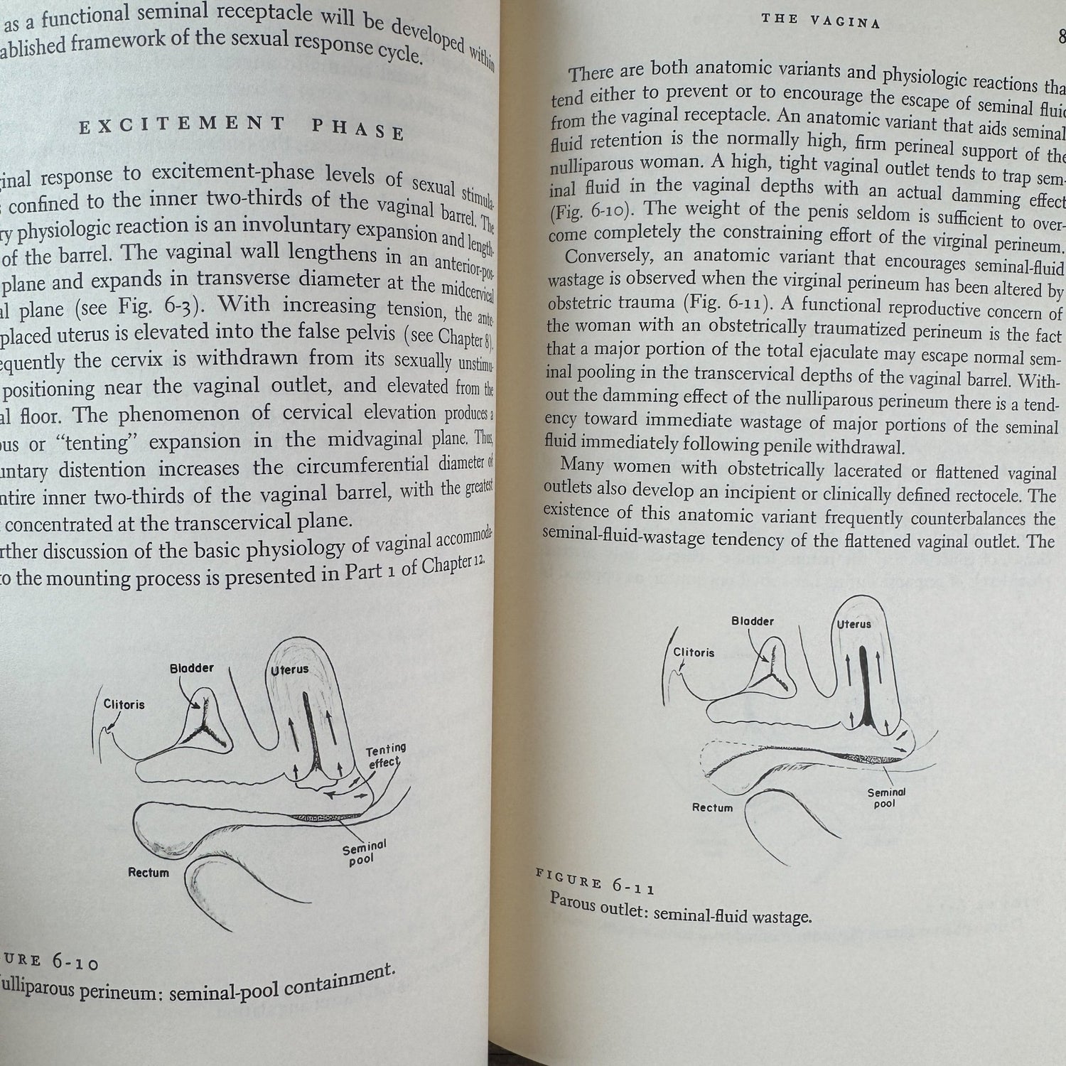 Human Sexual Response, Masters and Johnson First Edition - Pretty Old Books