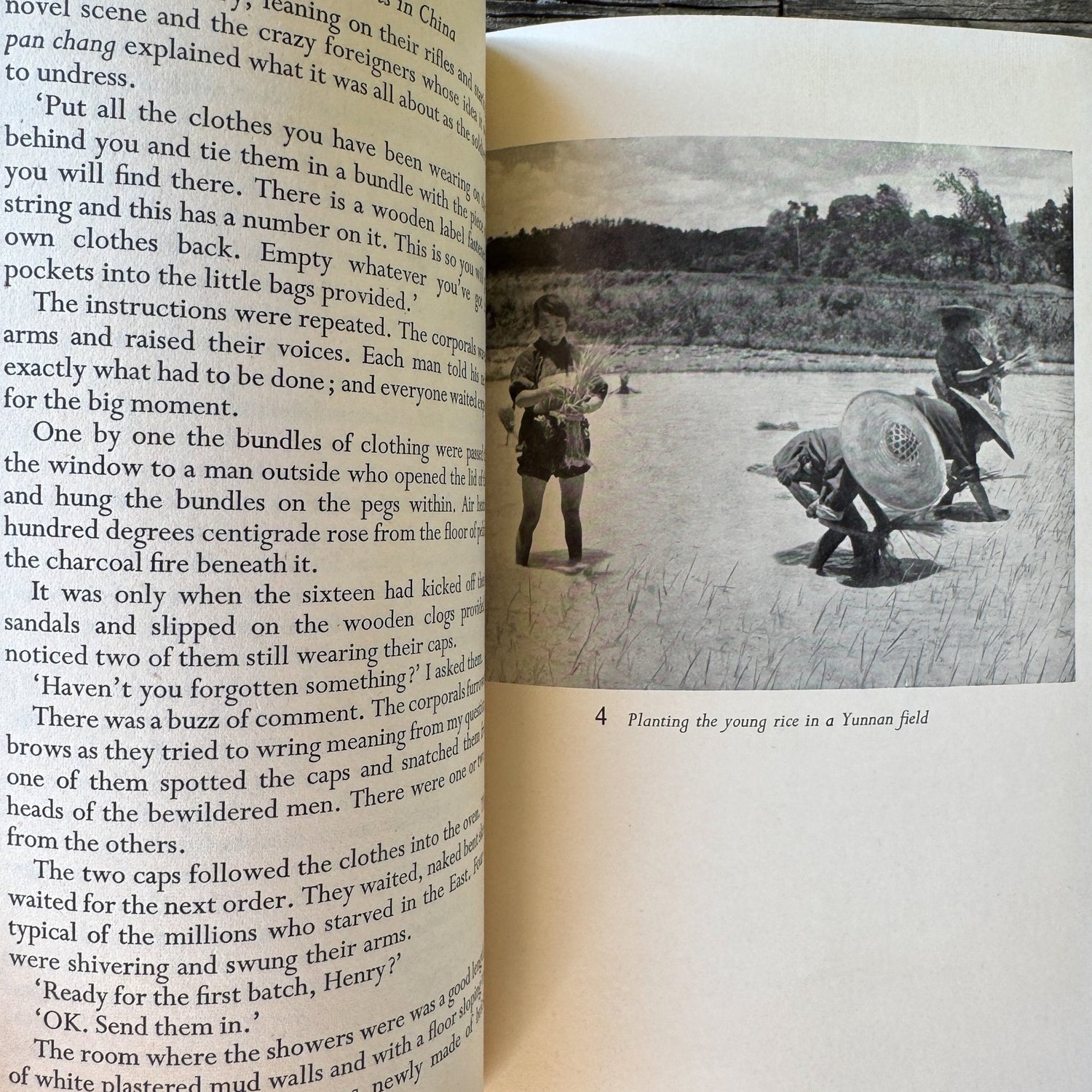 I Left My Roots in China, Bernard Llewellyn, 1953, Oxford University Press - Pretty Old Books