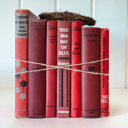 Vintage Decorative Books, Mid-Century Modern Retro Red and Black Book Collection, Books By Color, Masculine Shelf Decor