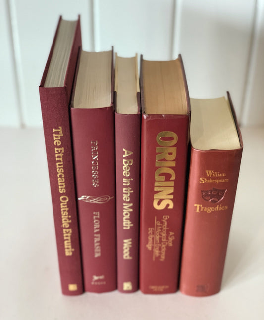 Dark Red Vintage Book Bundle, Maroon Decorative Books, Rainbow Bookshelf, Aesthetic Books