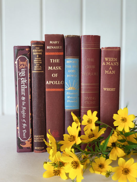 Dark Red Mid Century Modern Vintage Books,