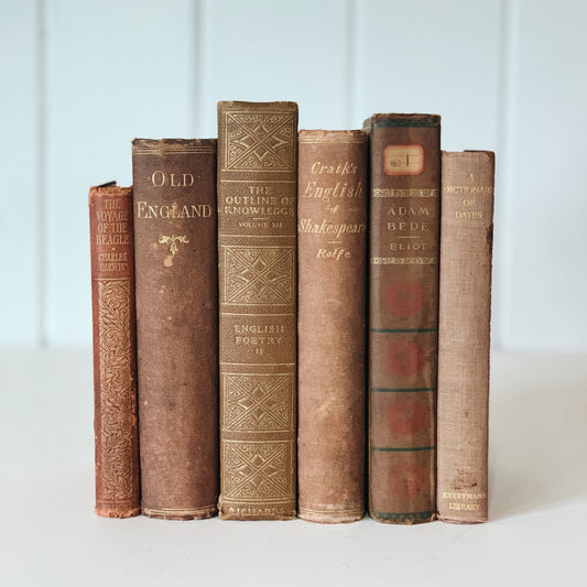 Antique Copper Brown Decorative Book Set, Bookshelf Decor, George Eliot, Darwin