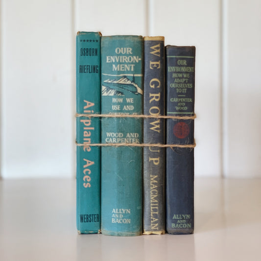 Vintage Mid-Century Blue Textbooks and School Books, Playroom Kids Bedroom Bookshelf Decor