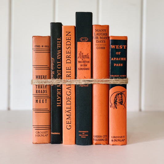 Black and Orange Vintage Book Set by Color for Decor, Halloween Shelf Styling