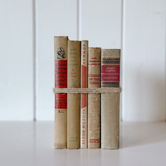 Vintage Decorative Beige and Red Book Cozy Neutral Book Bundle, Mid Century Modern