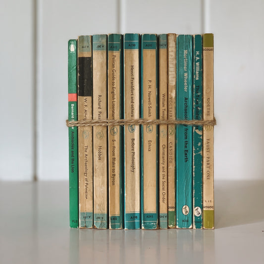 Vintage Paperback Classic Books, Blue Pelican Book Bundle for Decor