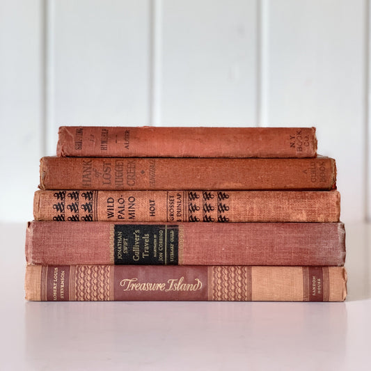 Rust Red and Terra Cotta Vintage Children's Books for Shelf Styling