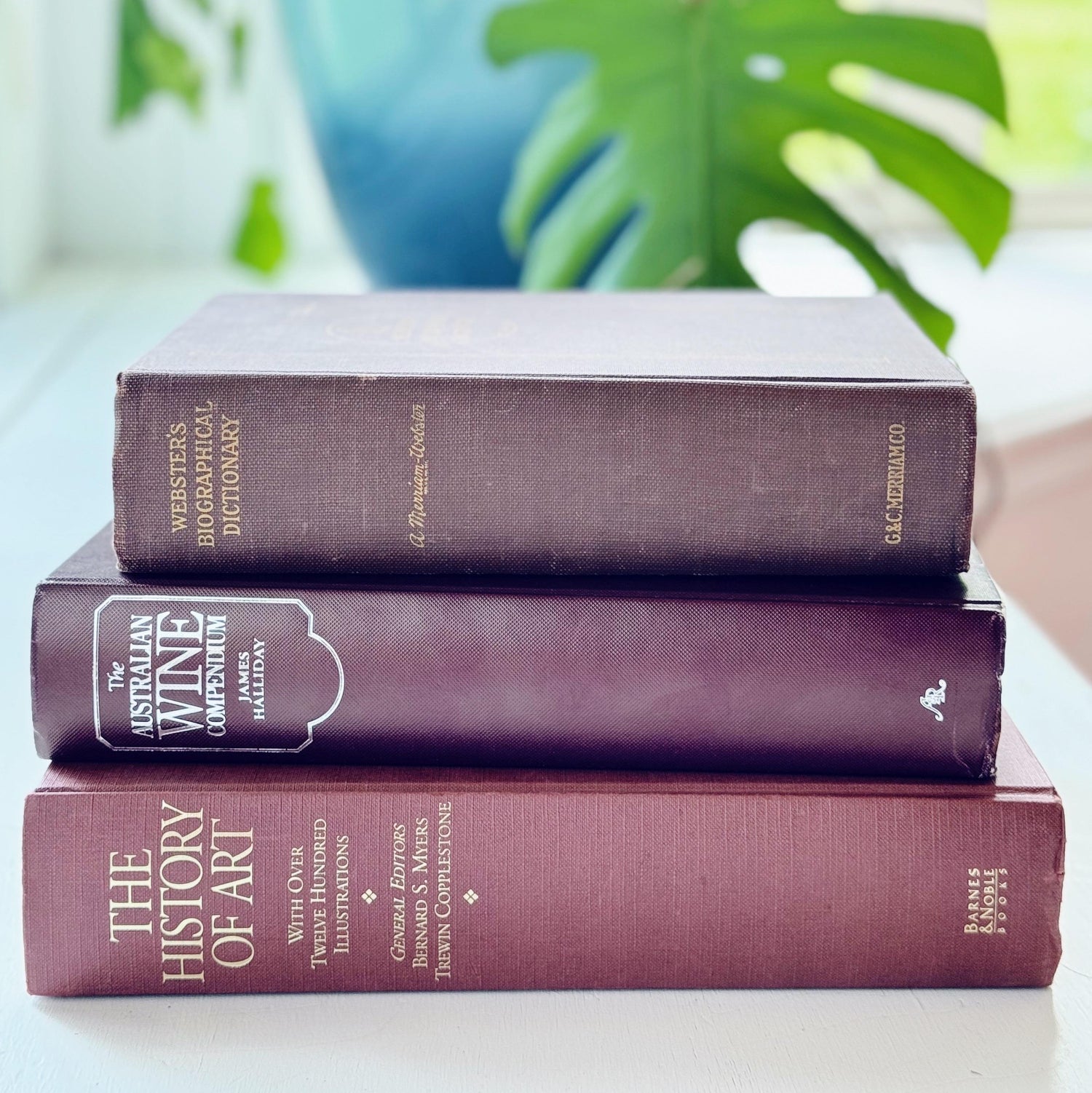 Large Maroon Red and Brown Vintage Reference Book Bundle for Shelf Styling, Old Books on Wine, Art, Biographies