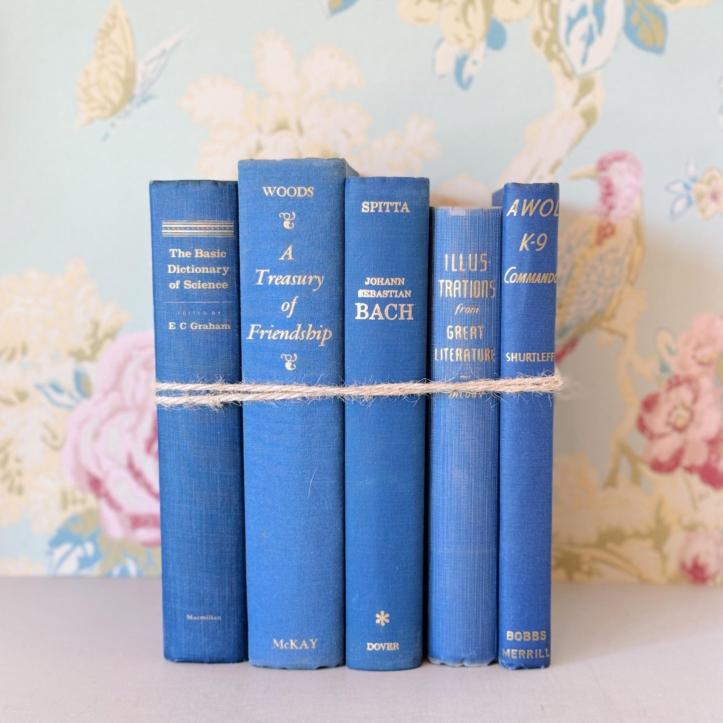 Indigo Blue Vintage Book Set for Decor, Mid-Century Modern Books By Color