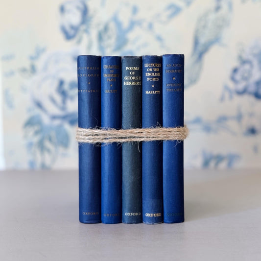 Vintage Indigo Blue Mini Book Set for Decor, The World's Classics, Oxford Press