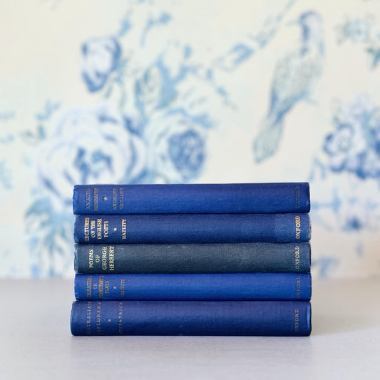 Vintage Indigo Blue Mini Book Set for Decor, The World's Classics, Oxford Press