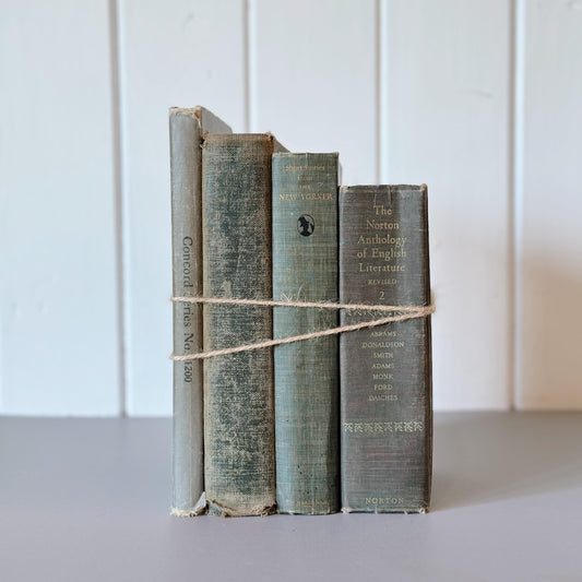 Vintage Shabby Blue and Gray Books for Shelf Styling, Shabby Chic Cozy Books