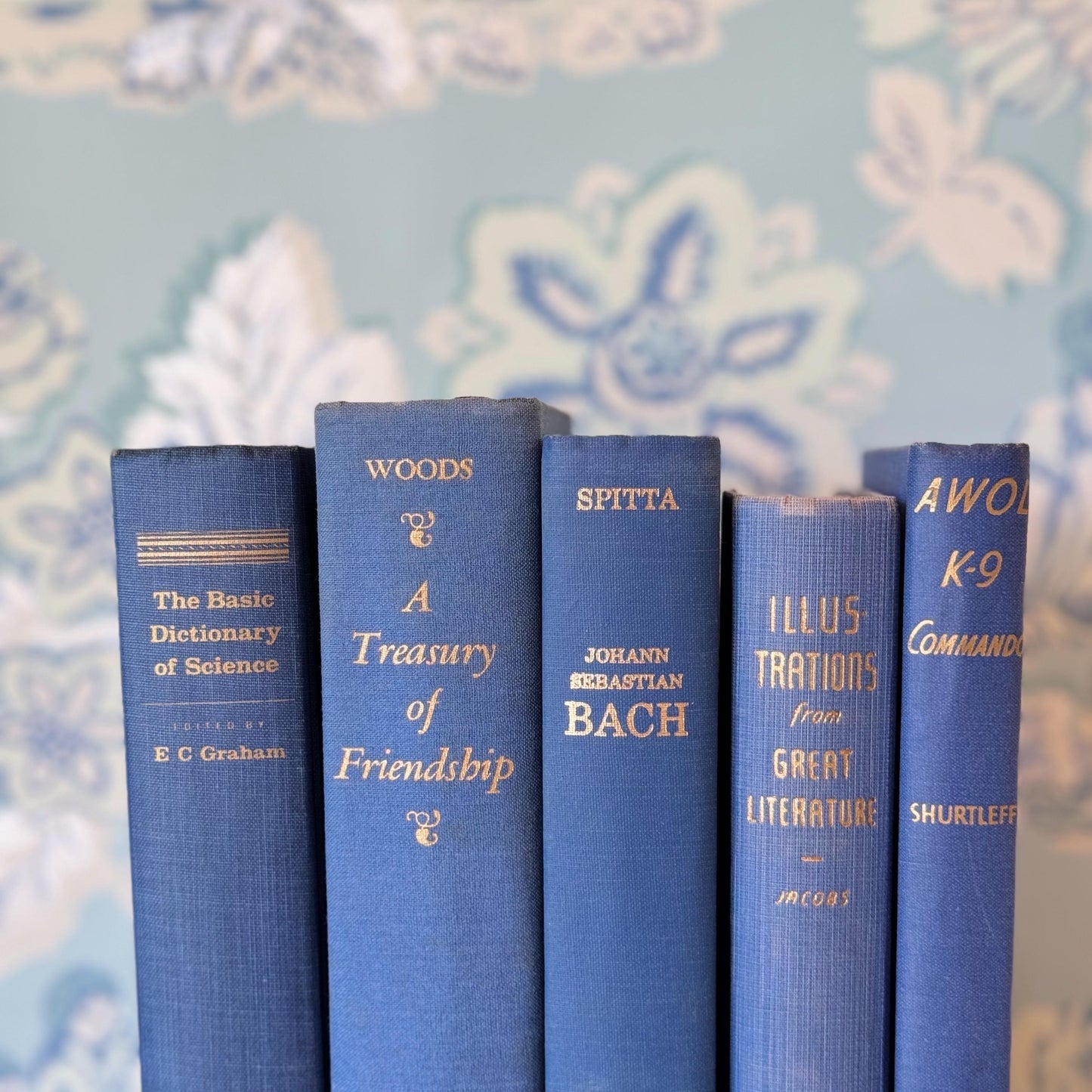 Indigo Blue Vintage Book Set for Decor, Mid-Century Modern Books By Color