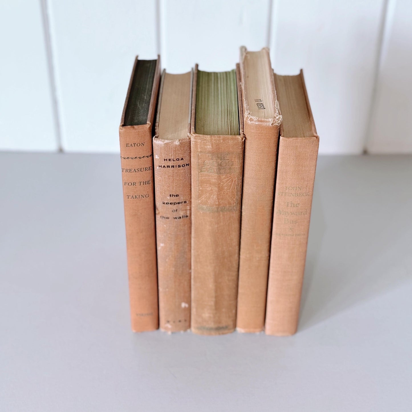 Peach Light Orange Vintage Decorative Books, Bookshelf Deco