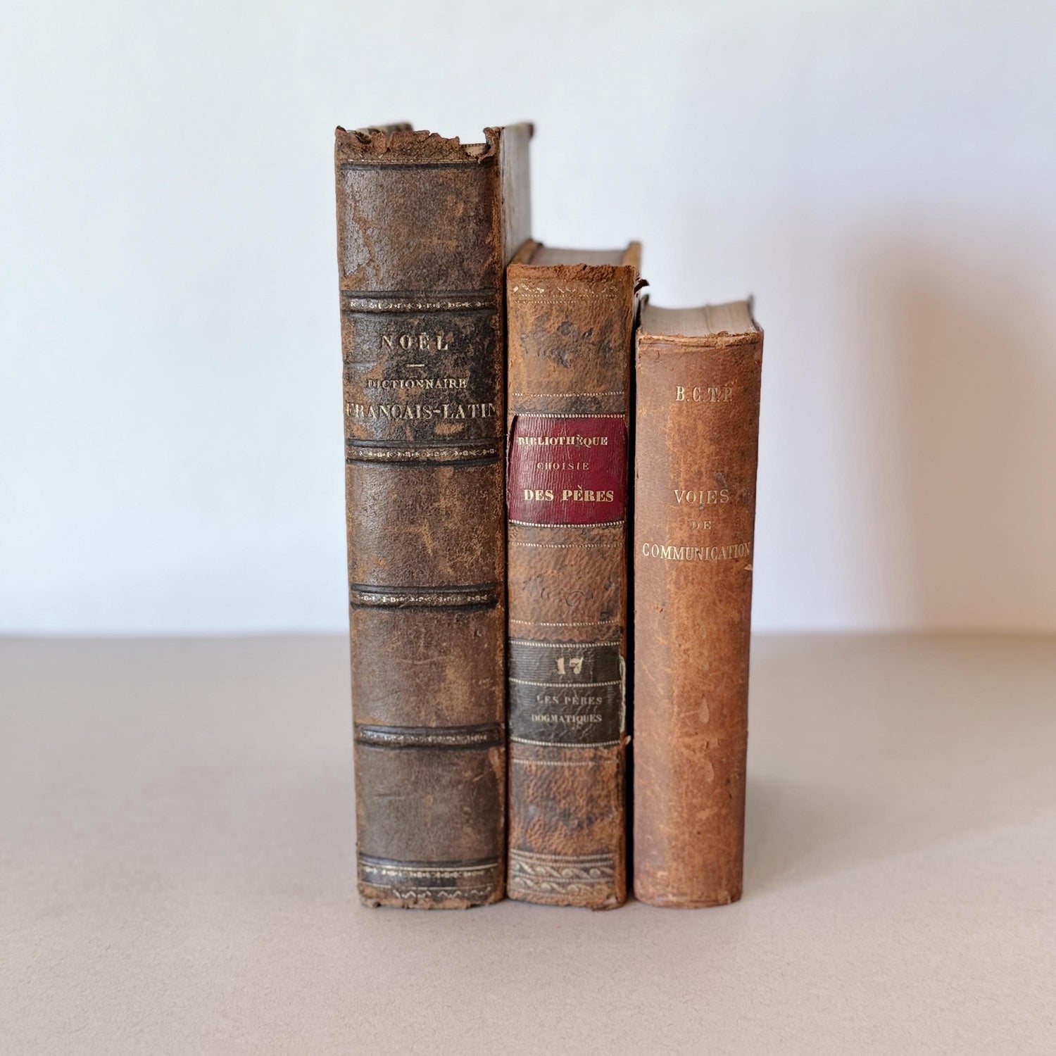 French Antique Leather-Bound Distressed Books, 1800s Book Bundle