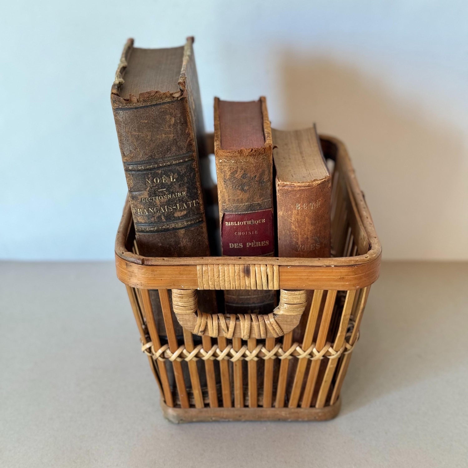 French Antique Leather-Bound Distressed Books, 1800s Book Bundle