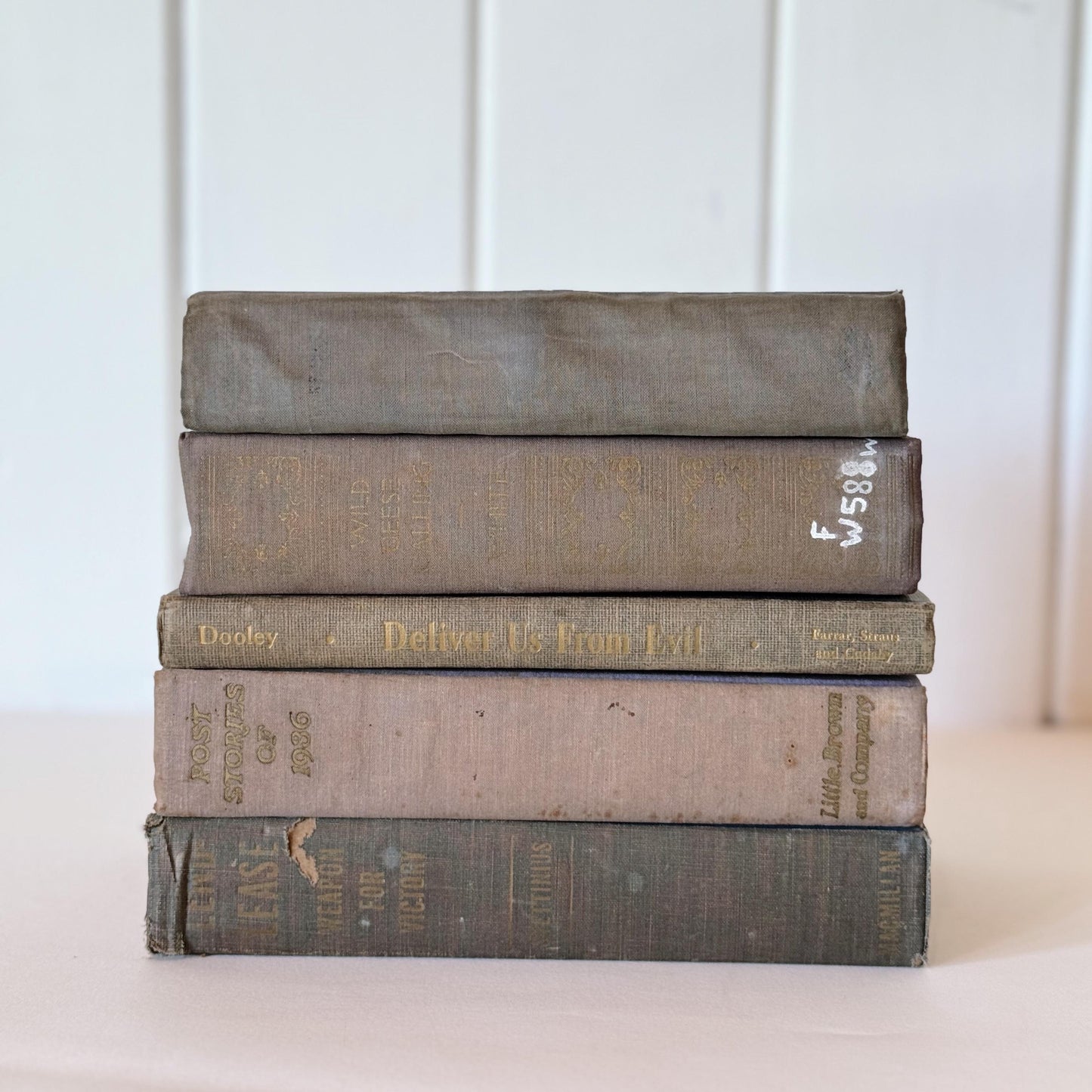 Shabby Old Books for Decor, Faded Neutral Vintage Book Set