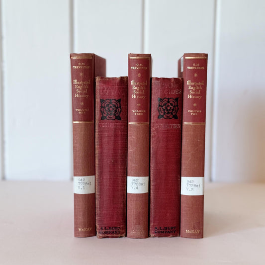 Shabby Red Antique Distressed Cozy Book Bundle